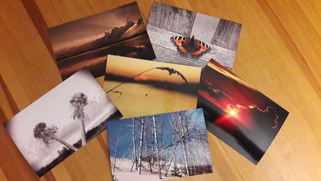 konkurs foto